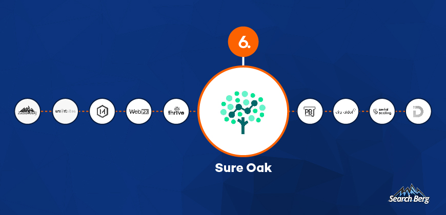 An illustration of Sure Oak, the number six New York SEO company.